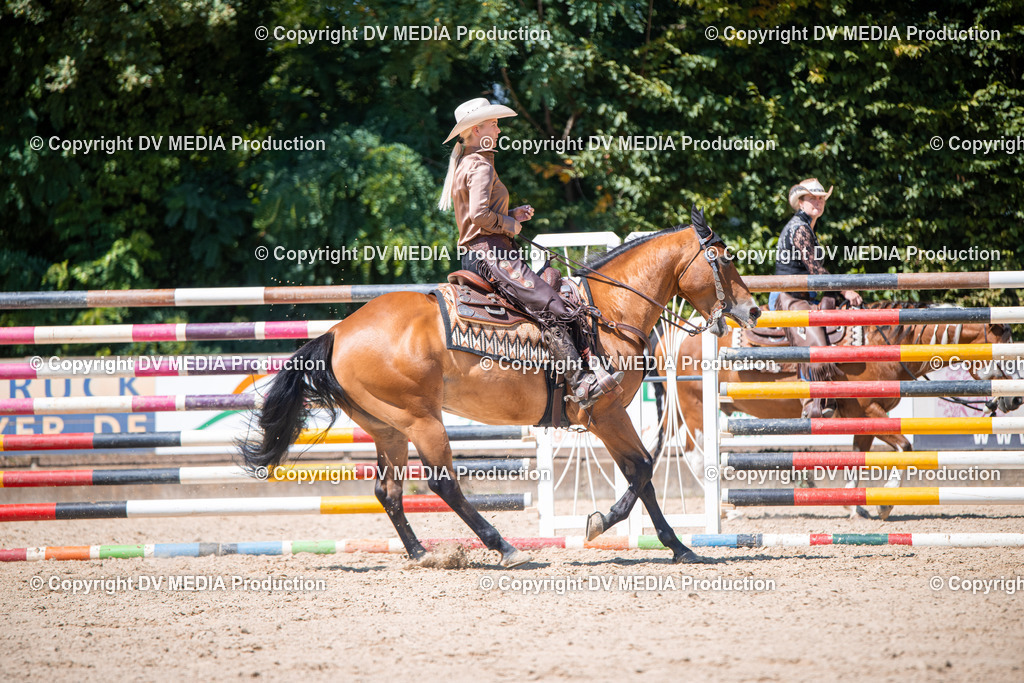 ZS1_1402 | dv-media-shop - Realisiert mit Pictrs.com