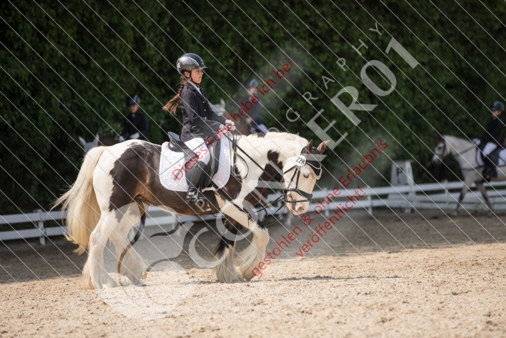 IMG_3308 | Sport-, Event- und Tierfotos in Profiqualität. Einfach auswählen, bestellen und herunterladen. Dein Moment – perfekt festgehalten.