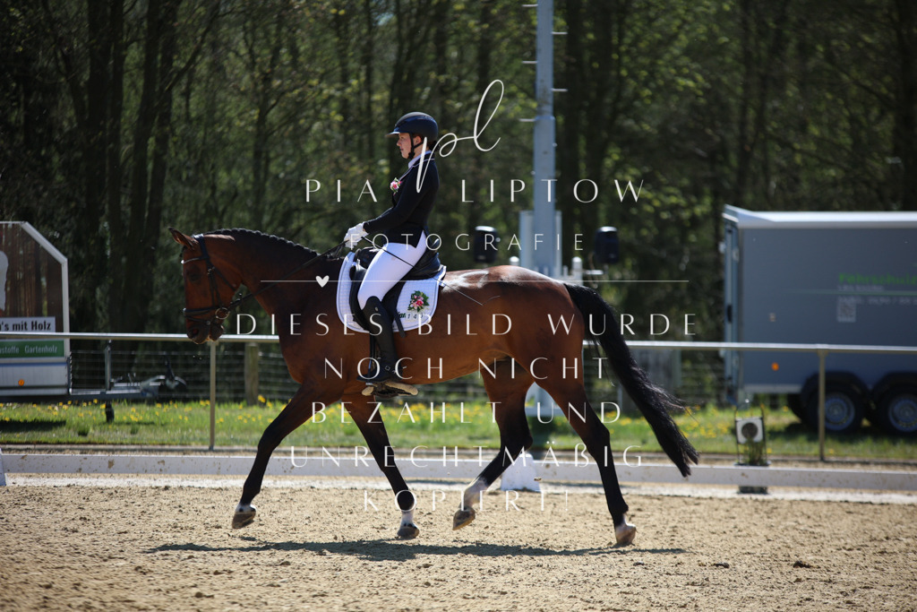 IMGT1118 | pl-fotografie