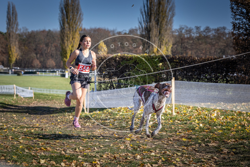 CaniXpix_DV3A8633 | Hundefotografie, Tierfotograf, Pfotenfotografie, Fotoshooting Hund, Hunde Portrait, Hundesport, Hundeportraits, Heideshooting, Hunde, Sportfotograf, Hundefotograf, Turnierhundsport, THS,  - Realisiert mit Pictrs.com