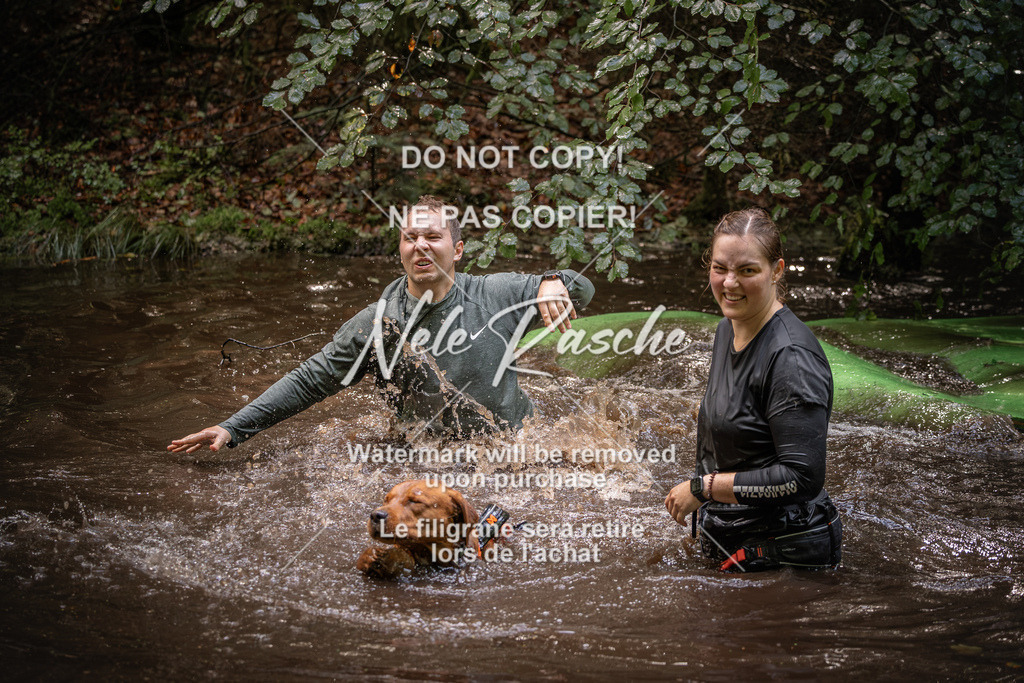 nelerasche_Wingst_Sa1330-1400_215 | nelerasche