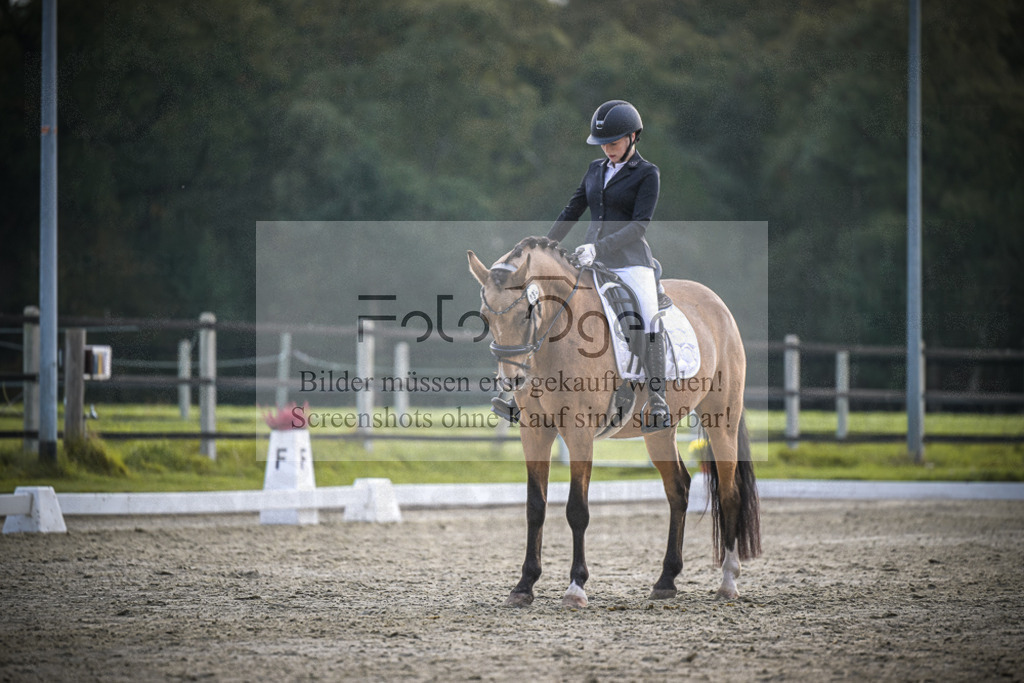 DOS_4306 | Entdecke hochwertige Reitturnierfotos von Foto Oger. Professionell, emotional und authentisch – jetzt Lieblingsmomente im Shop bestellen.Deutschlandweite Turnierfotografie. - Realisiert mit Pictrs.com