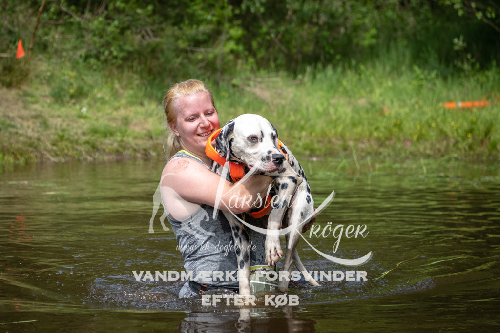 1229DKK992966 | kk-dogfotos