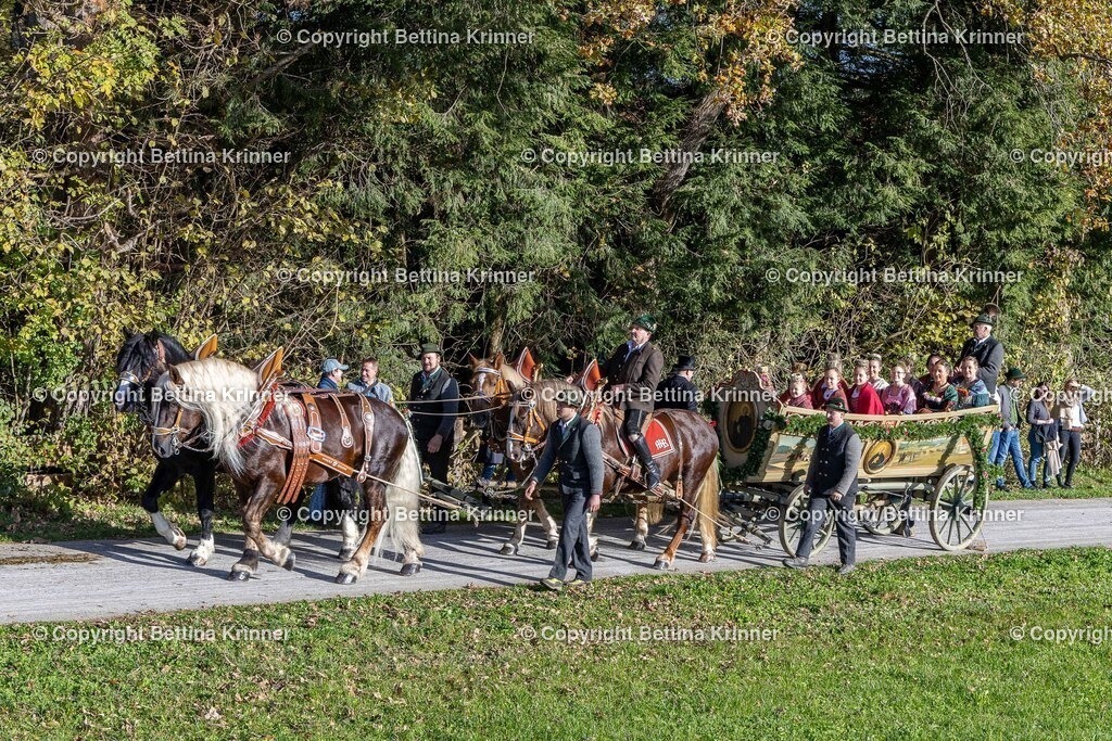 LBT24-677 | foto-bettina-krinner - Realisiert mit Pictrs.com