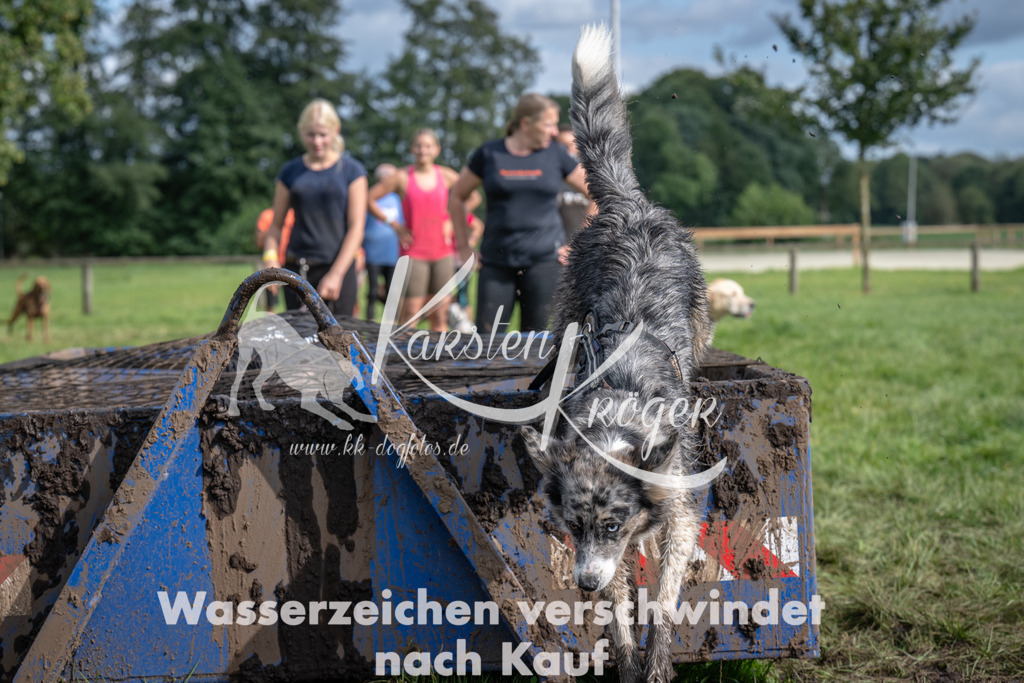 1426_ZZ92353 | kk-dogfotos
