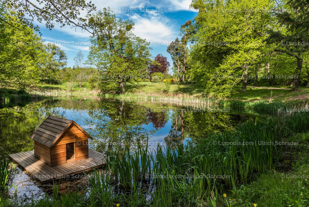 10049-3846 - Landschaftspark Degenershausen | Stockfoto und Bilderpool mit Bildmaterial aus Deutschland, dem Harz, Halberstadt, Quedlinburg, Wernigerode und weltweit. Qualitativ hochwertige und professionelle Fotos anschauen und kaufen. - Realisiert mit Pictrs.com