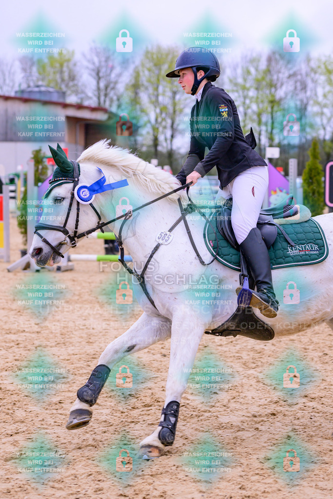 12042026-Mammendorf-Prfg43-0251 | Fokus Hufschlag Fotografie - Realisiert mit Pictrs.com