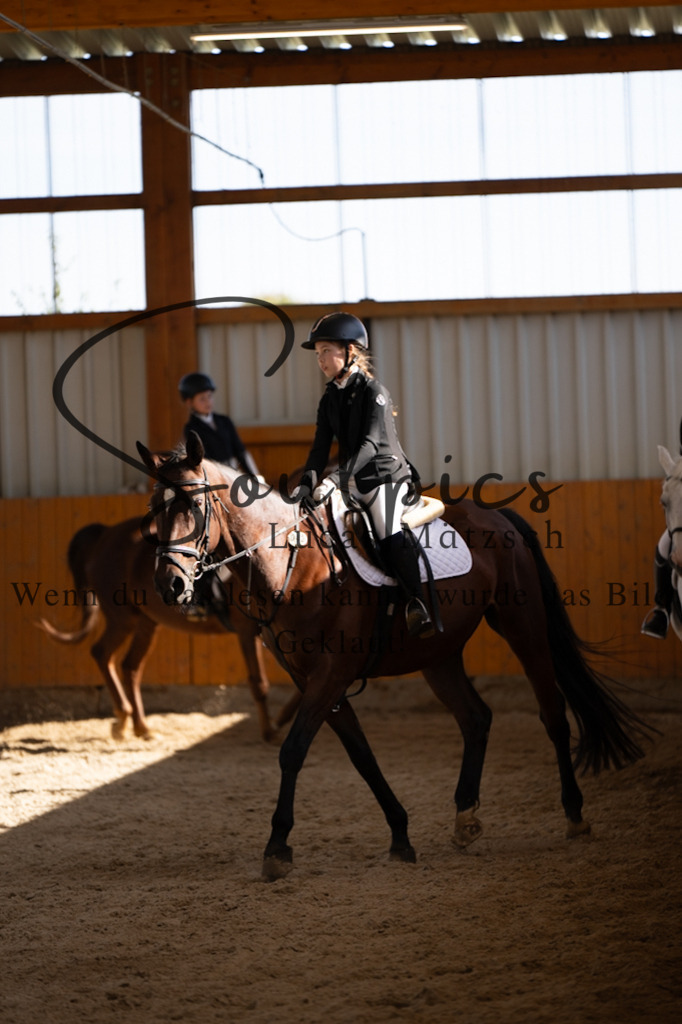 A7V02063 | Turnier/Reitfotograf