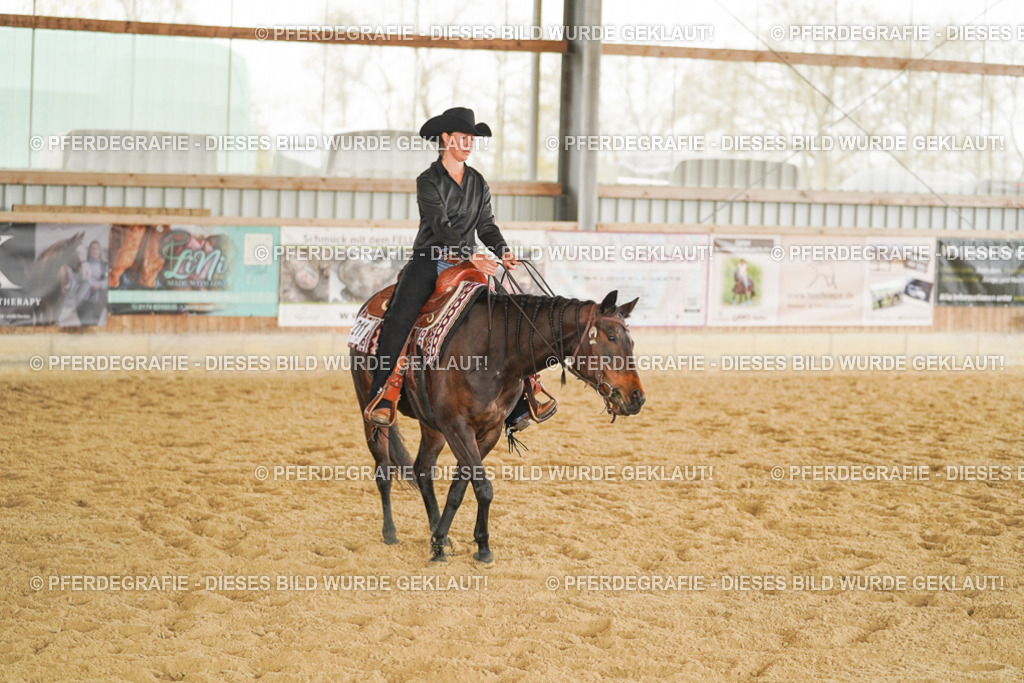 DSC04522 | Pferdegrafie