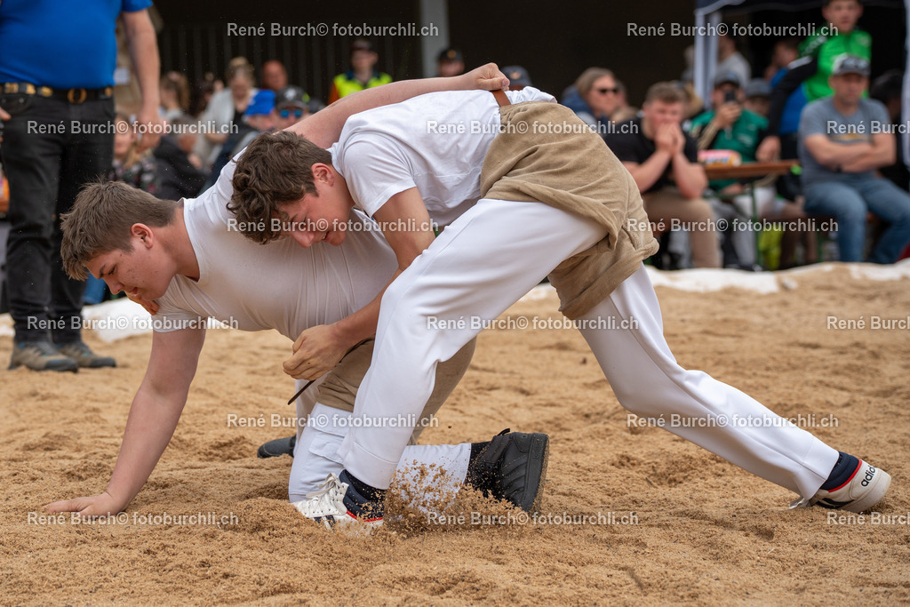 RB_03208 | René Burch leidenschaftlicher Fotograf aus Kerns in Obwalden.  Hier finden sie Sport, Landschaft und Natur Fotografie.
 - Realisiert mit Pictrs.com