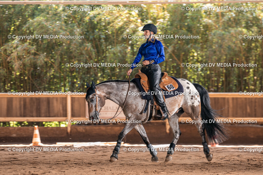 Erbach Tag 3-466 | dv-media-shop - Realisiert mit Pictrs.com