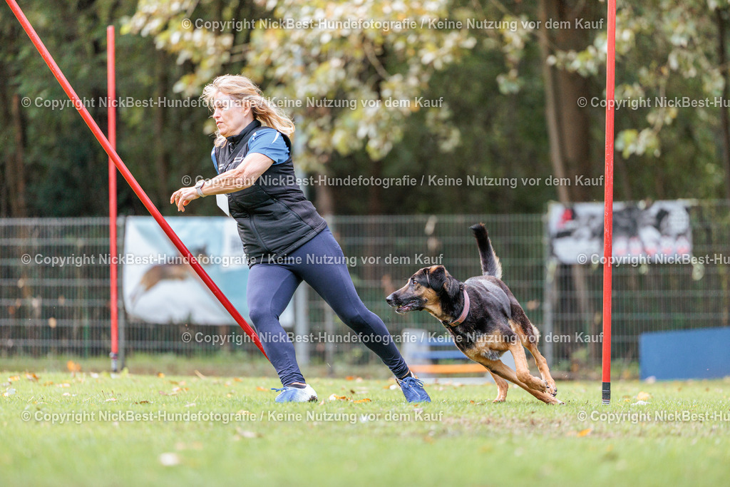 THS-HSV-Blumenthal-2026-Nickbest-Hundefotografie-2045 | Dein Hund! Dein Moment! Deine Erinnerungen! Hundefotografie in Bremen Blumenthal. Ich fange die besonderen Momente deines Vierbeiners ein – ob Indoor mit Blitzanlage oder in der freien Natur. Sicher dir dein Moment und dein Termin für eure Erinnerungen.