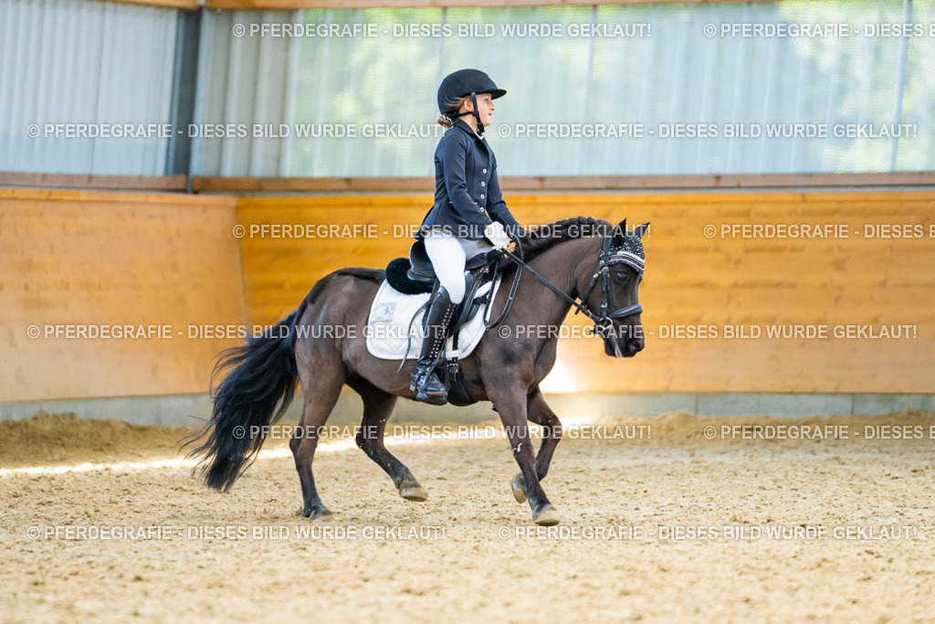 DSC09127 | Pferdegrafie