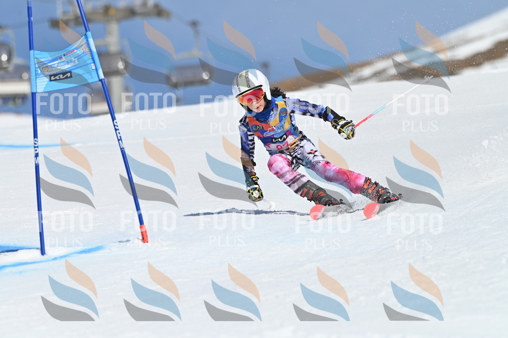 BGV_9195 | holidayphoto