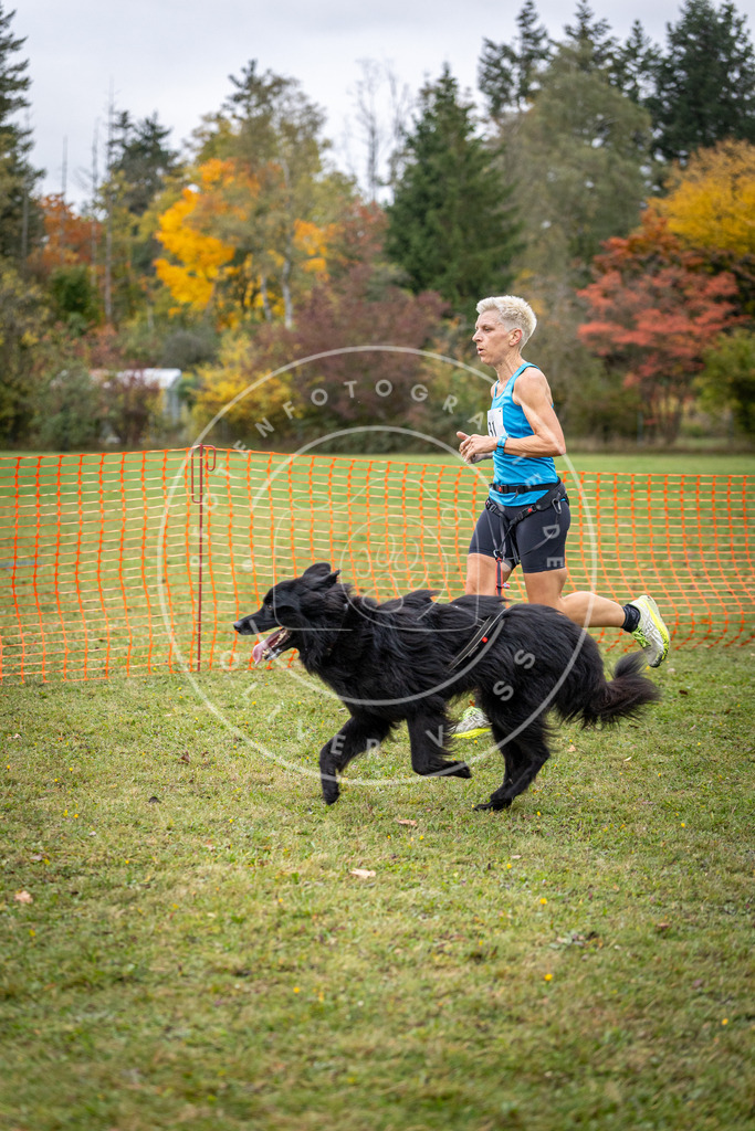 Pfotenfotografie_DV3A2126 | Hundefotografie, Tierfotograf, Pfotenfotografie, Fotoshooting Hund, Hunde Portrait, Hundesport, Hundeportraits, Heideshooting, Hunde, Sportfotograf, Hundefotograf, Turnierhundsport, THS,  - Realisiert mit Pictrs.com