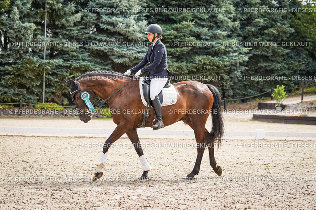 DSC02439 | Pferdegrafie