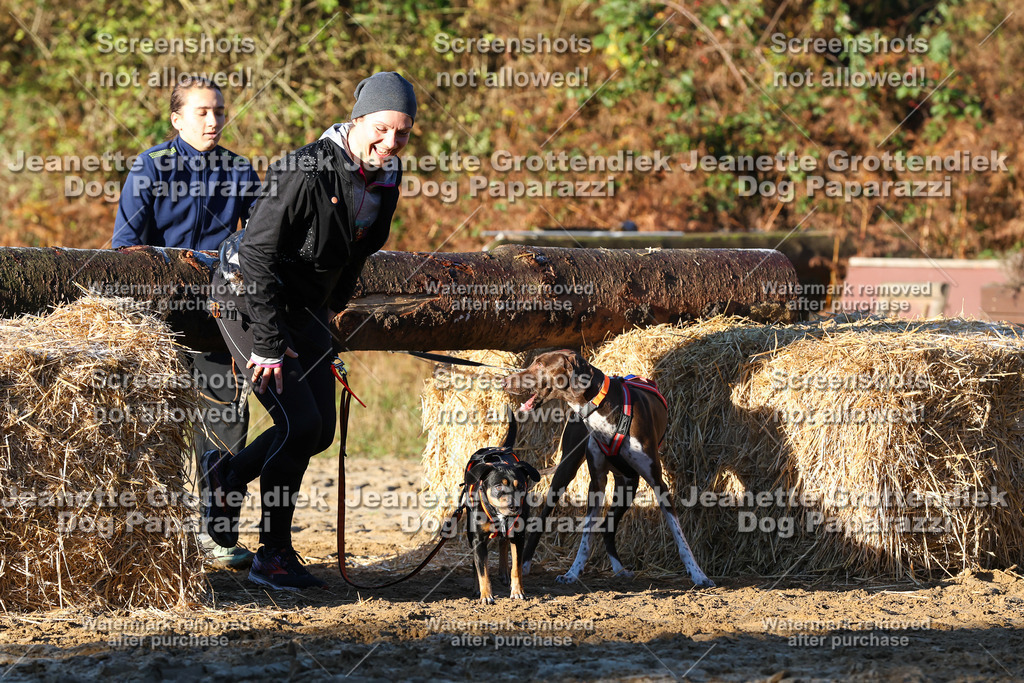 Dog Paparazzi - Strongdog 10-25-914 | Dog Paparazzi Jeanette Grottendiek Fotografie & Videografie - Realisiert mit Pictrs.com