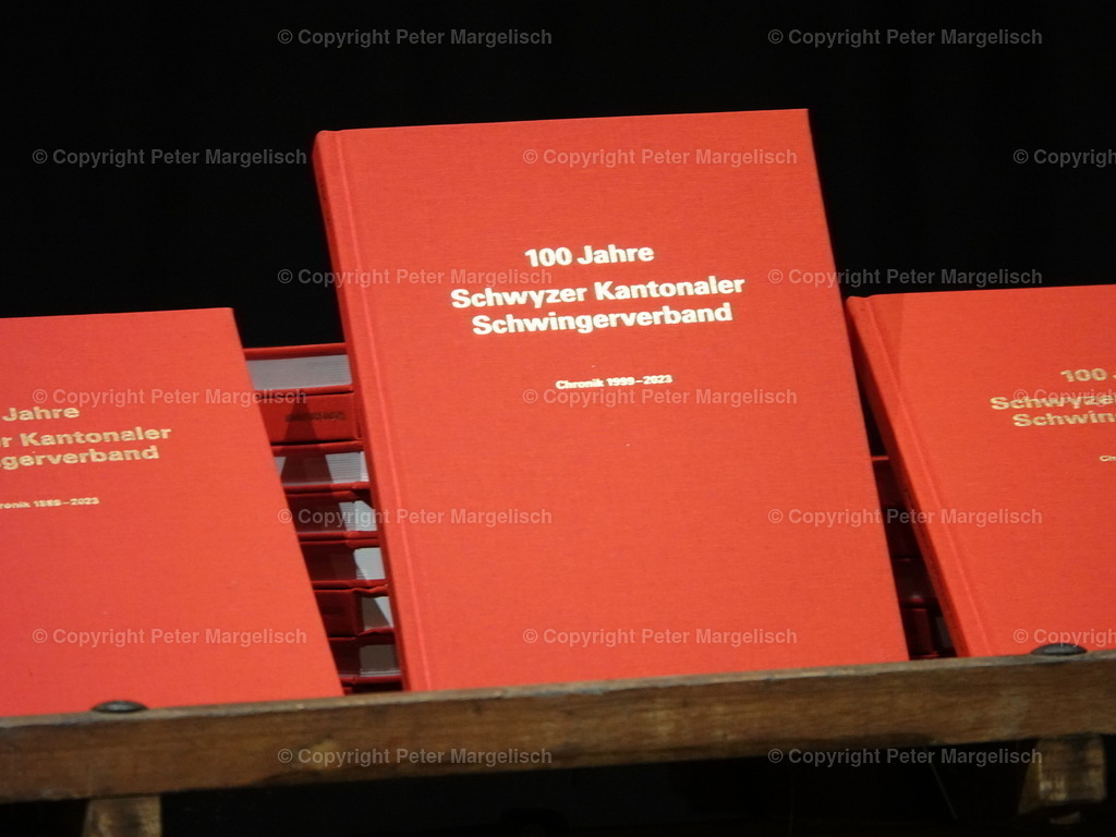 DSC05969 | Schwingen - Realisiert mit Pictrs.com