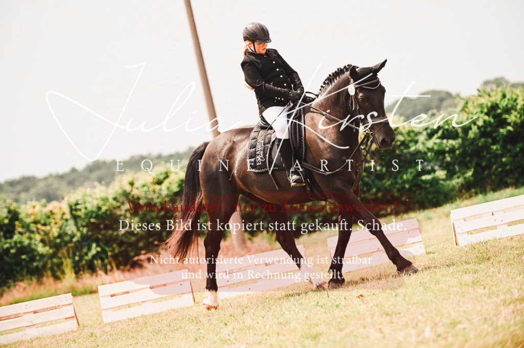 DSC_6244 | Pferde- und Turnierfotografie in Westsachsen. Pferdeportraits, Auftragszeichnungen und intuitive Kunst.