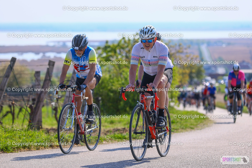 TRA_1083 | Neusiedlersee Radmarathon 2026@sportshot_your_pictrs #yourpictures#roadtowm2029 #nrm #neusiedlerseeradmarathon #neusiedlersee #neusiedlerseetourismus #burgenland #mörbisch #nrm26 #burgenlandtourismus #voglundco #poweredbyburgenlandtourismus #radsport #rad #marathon #ucigranfondo #visitburgenland #ucigranfondoworldseries