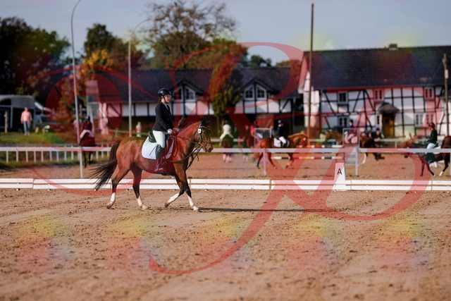 2026_10_03_Siefer-Hof_115417_Z81_93131455 | Professionelle Reitsport-, Turnier- und Eventfotografie von Robert Broda. Galerien mit ausgewählten und bearbeiteten Bildern direkt online ansehen und bestellen.