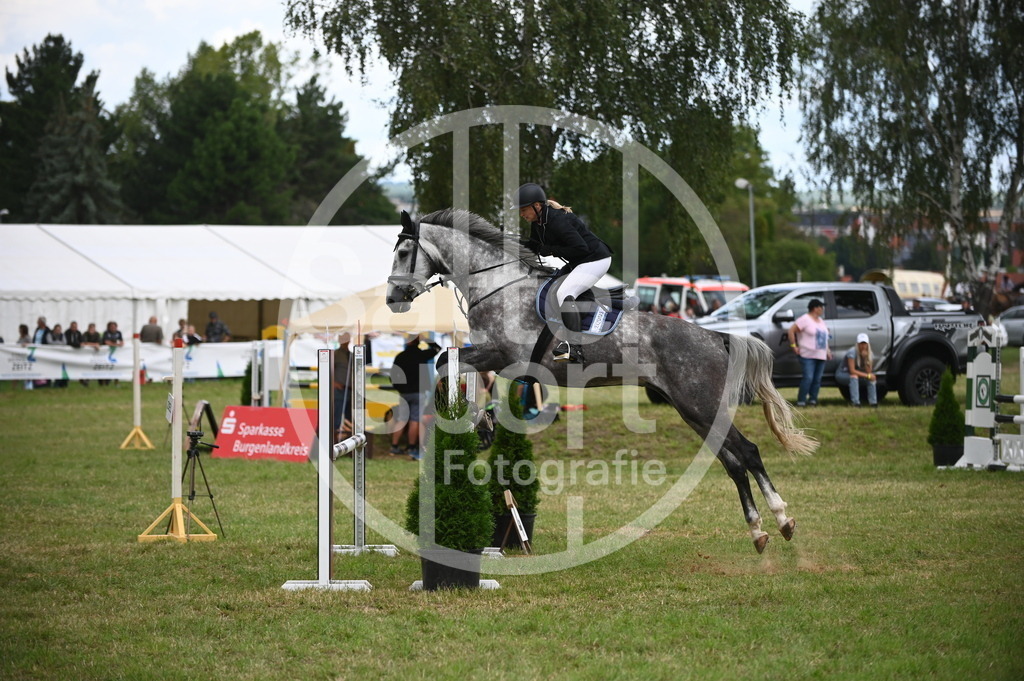 DSC_6482 | sattelsport - Realisiert mit Pictrs.com