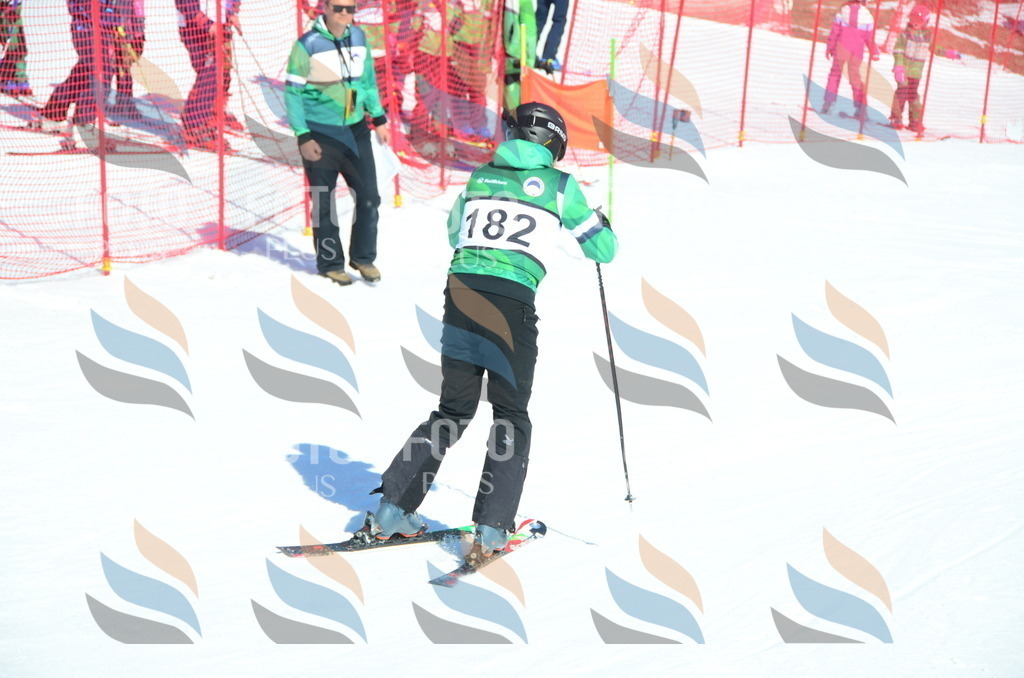 C6421 | holidayphoto