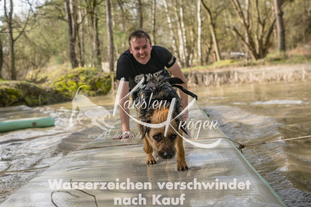 1003_ZZ92370 | kk-dogfotos