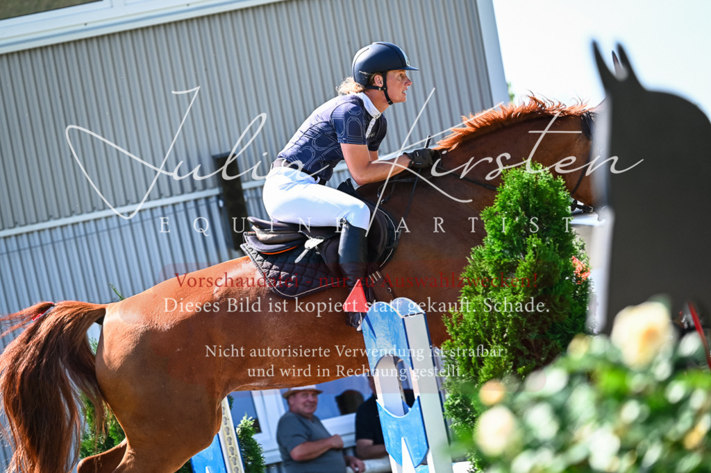 DSC_1569 | Pferde- und Turnierfotografie in Westsachsen. Pferdeportraits, Auftragszeichnungen und intuitive Kunst.