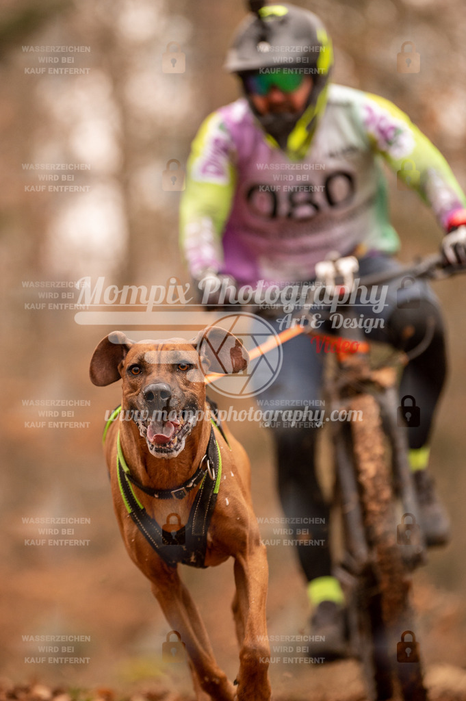 AKM_ST_2023_SAM_Bike-72 | PayLife