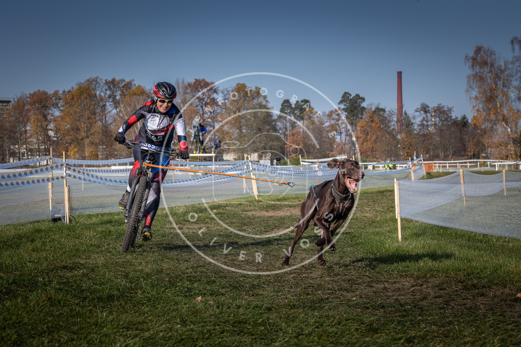 CaniXpix_0L8A7727 | Hundefotografie, Tierfotograf, Pfotenfotografie, Fotoshooting Hund, Hunde Portrait, Hundesport, Hundeportraits, Heideshooting, Hunde, Sportfotograf, Hundefotograf, Turnierhundsport, THS,  - Realisiert mit Pictrs.com
