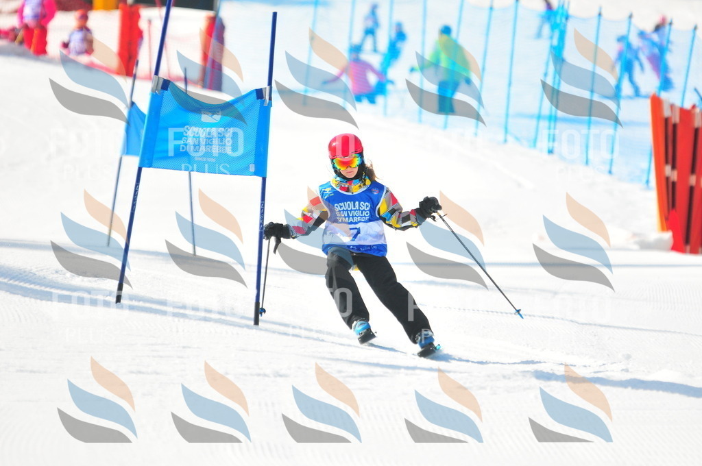 B8982 | holidayphoto