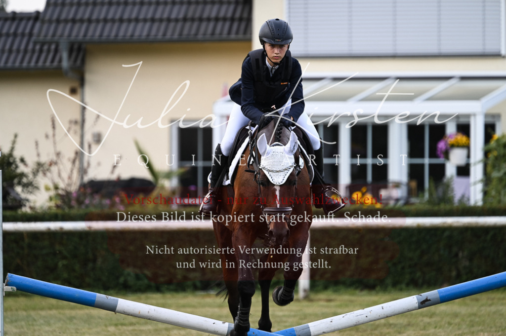 DSC_5657-2 | Pferde- und Turnierfotografie in Westsachsen. Pferdeportraits, Auftragszeichnungen und intuitive Kunst.