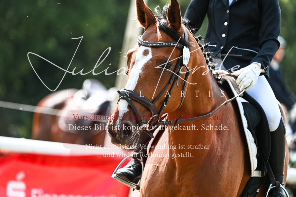 DSC_8689 | Pferde- und Turnierfotografie in Westsachsen. Pferdeportraits, Auftragszeichnungen und intuitive Kunst.