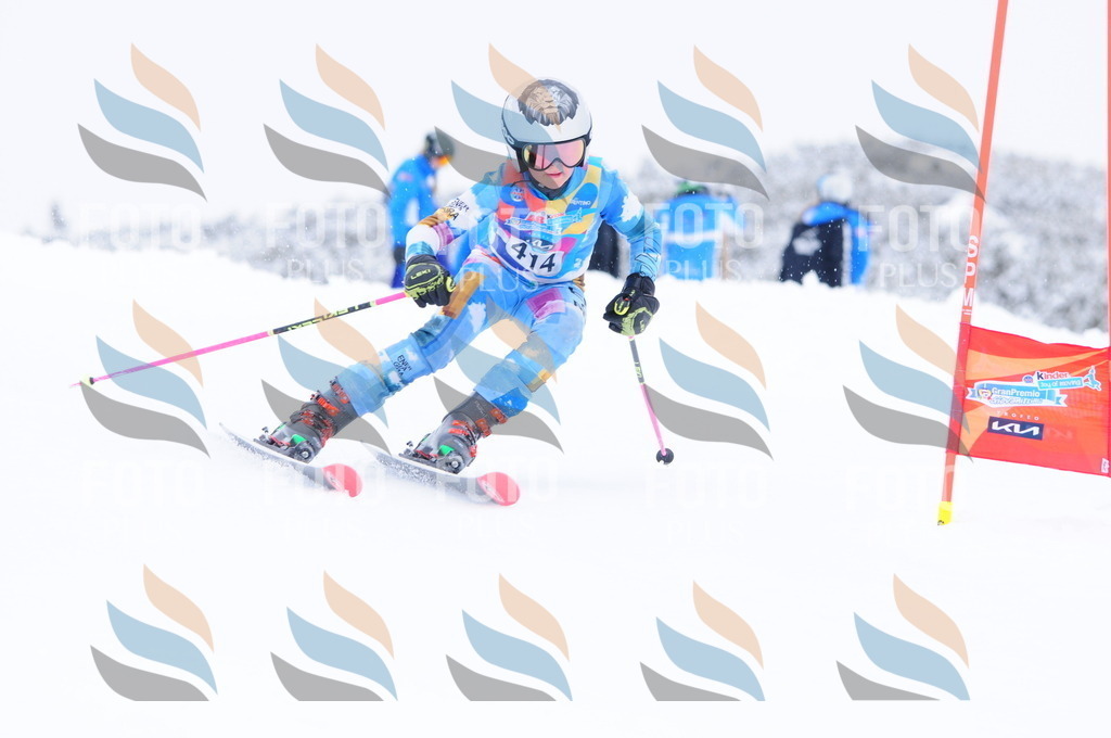 C4358 | holidayphoto