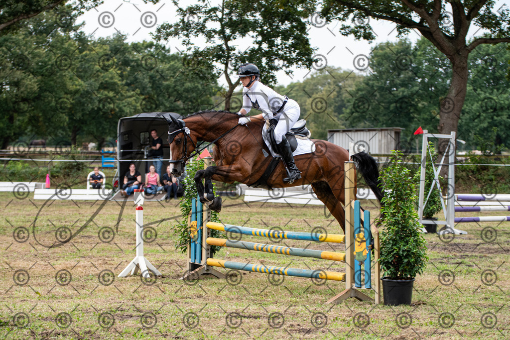 SHT_7635 | andre_photographic