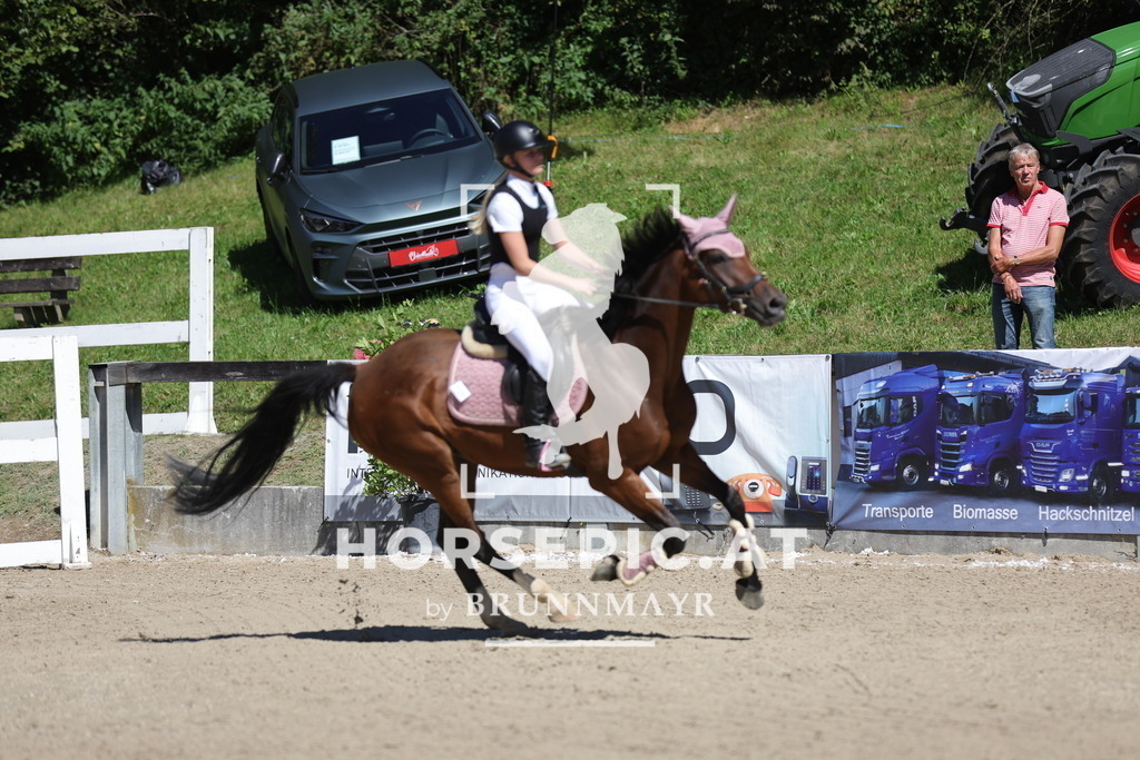 0P6A5909 | Willkommen bei Brunnmayr - Design & Fotografie – Ihrem Spezialisten für Reitturniere und Pferdeveranstaltungen in Oberösterreich, Salzburg und Bayern! Seit über 17 Jahren sind wir leidenschaftlich dabei.