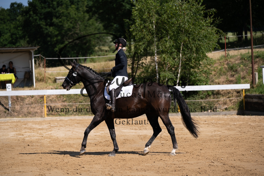 A7V07792 | Pferdefotograf