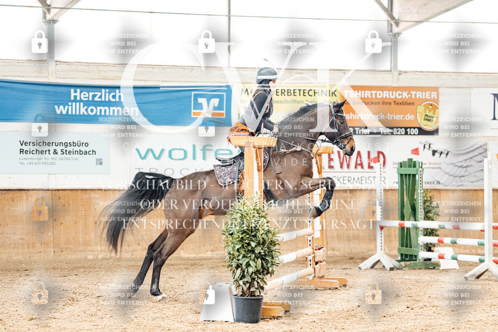 CK905527 | Turnierfotografie Pferdefotografie Trier Rheinland-Pfalz Pferdesport Reitsport Tierfotografie Sportfotografie Pferdevideo Pferdevideografie Equestrianvideography equestrianphotography  - Realized with Pictrs.com