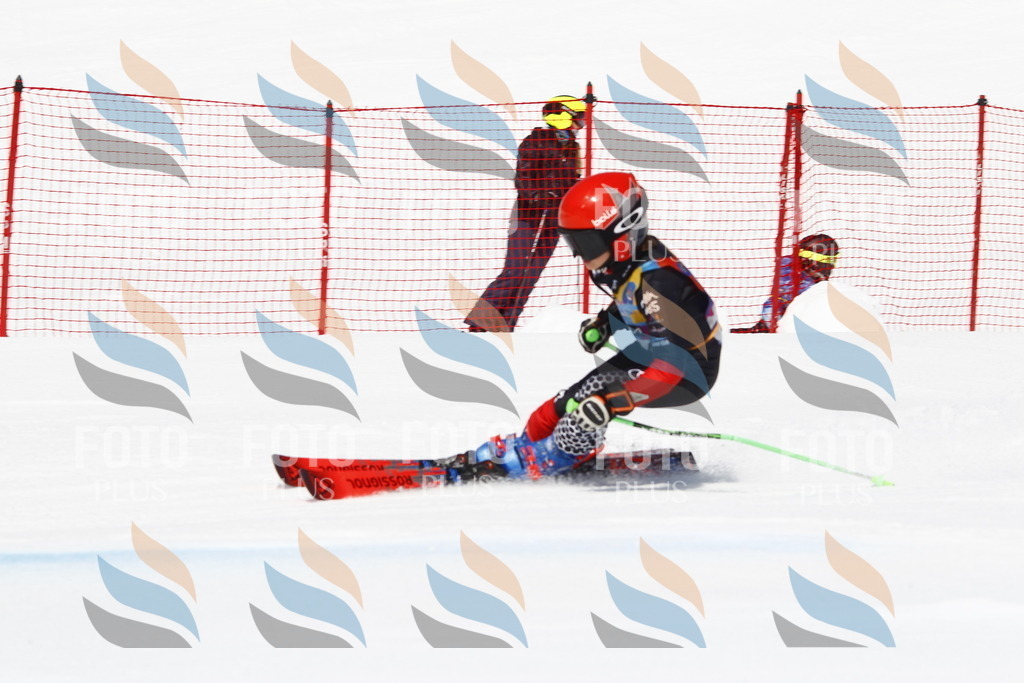 _U3G4913 | holidayphoto