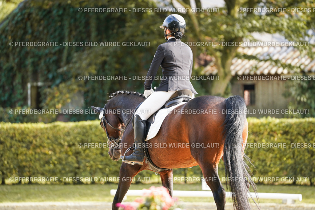 DSC05717 | Pferdegrafie