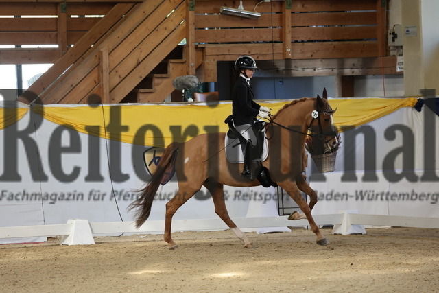Ising_2025_Prfg.Nr.20_Pony-Dressurprfg.Kl.L_Kür_Lakeysha Eiselt_Crown Wishing Well (2) | Alle Fotos der Reiterjournal Fotografin Doris Matthaes im Reiterjournal Online-Fotoshop. - Realisiert mit Pictrs.com