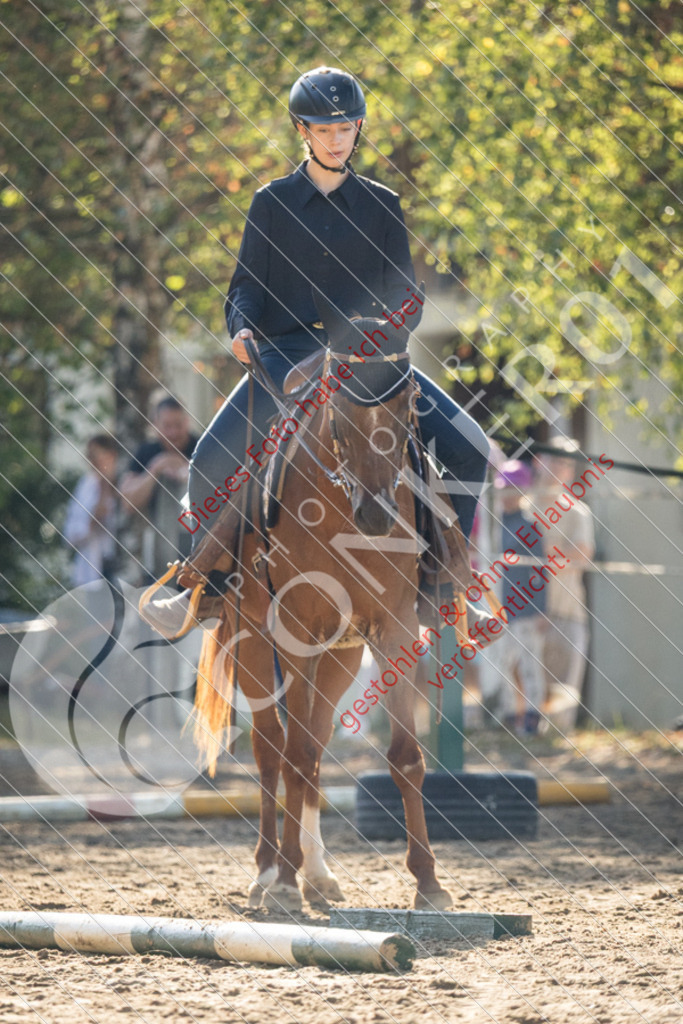 IMG_6396 | Sport-, Event- und Tierfotos in Profiqualität. Einfach auswählen, bestellen und herunterladen. Dein Moment – perfekt festgehalten.