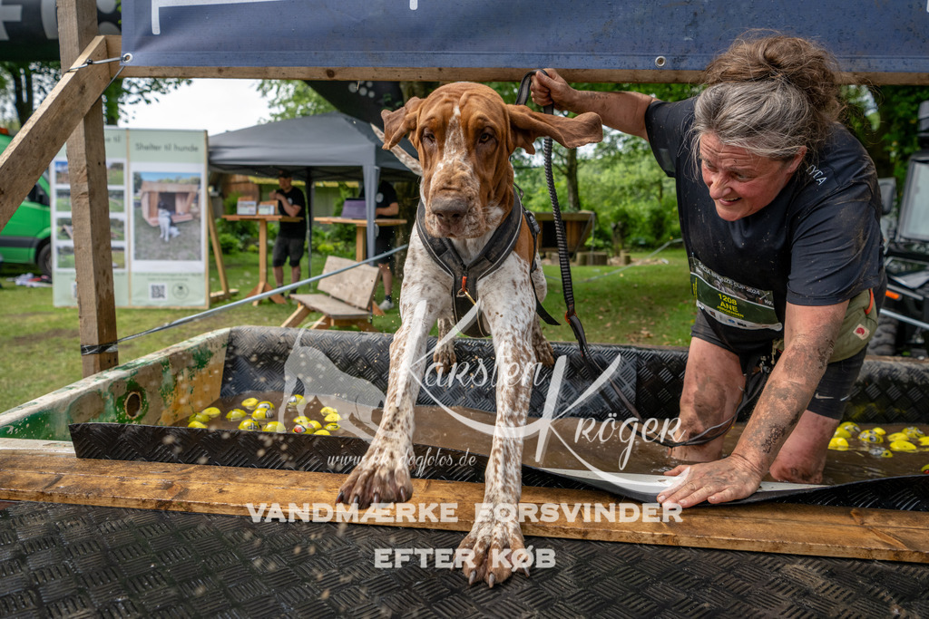 1123_ZZ94034 | kk-dogfotos