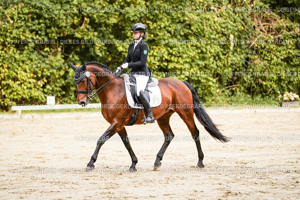 DSC01855 | Pferdegrafie