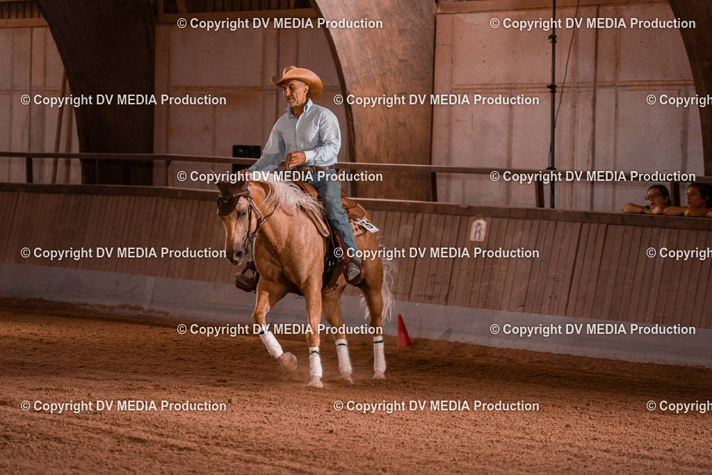 NE201182 | dv-media-shop - Realisiert mit Pictrs.com