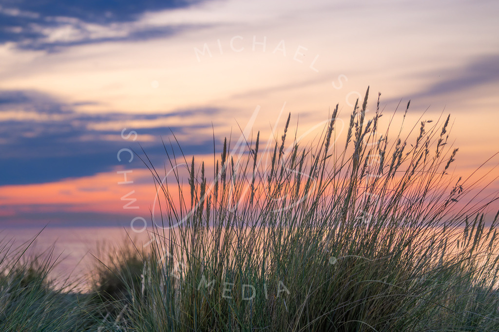 2023-07-28 Ostsee Warnemünde 068 | Schwotte Media - Realisiert mit Pictrs.com