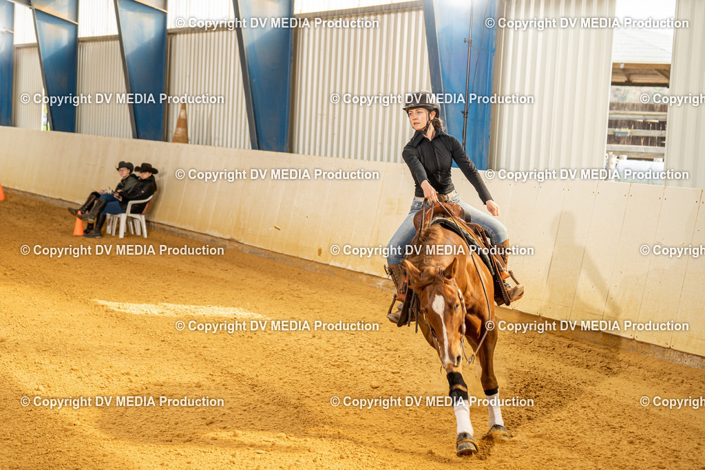 MIT00815 | dv-media-shop - Realisiert mit Pictrs.com