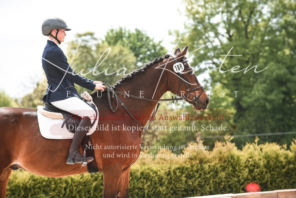 20230518_JK-Röhrsdorf-10-102 | Pferde- und Turnierfotografie in Westsachsen. Pferdeportraits, Auftragszeichnungen und intuitive Kunst.