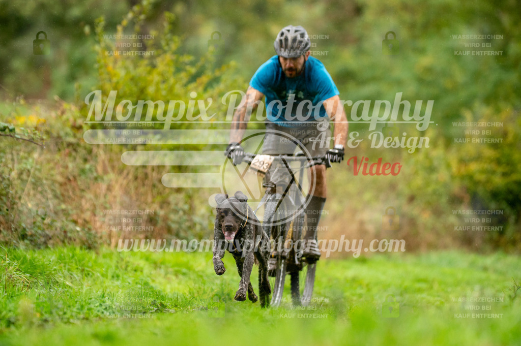 TSB_2023_E6_Bike-21 | PayLife